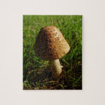 Mushroom Puzzle