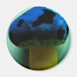 Mushroom Refrigerator Magnets