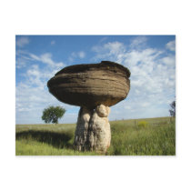 Mushroom Rock postcards