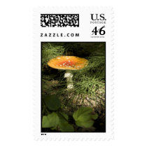 Mushroom stamp by nontoxickeith Mushroom stamp