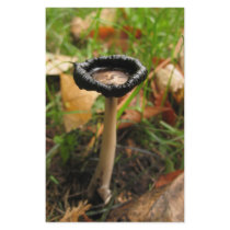 mushroom stationery