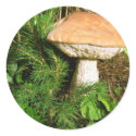 Mushroom stickers by lifesphere Mushroom stickers