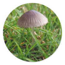 Mushroom Stickers stickers