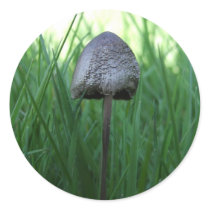 Mushroom Stickers stickers
