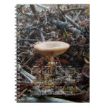 Mushroom Stretch; 2012 Calendar Spiral Notebooks