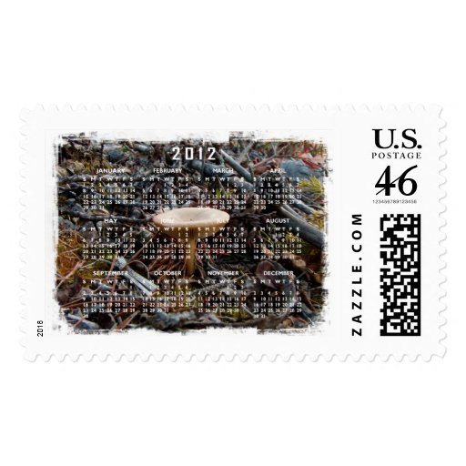 Mushroom Stretch; 2012 Calendar Postage