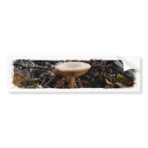 Mushroom Stretch Bumper Stickers