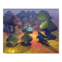 Mushroom Valley posters