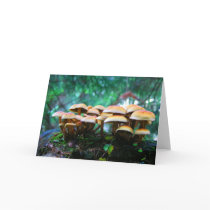 mushroom village cards