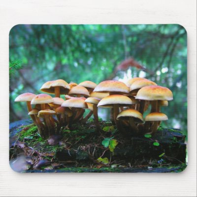 mushroom village mouse pads by Eyefish