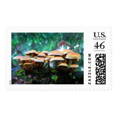 mushroom village stamps by Eyefish