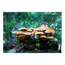 mushroom village posters