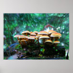 mushroom village poster