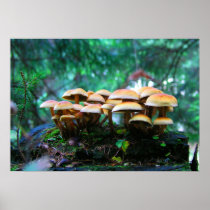 mushroom village poster