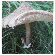 Mushroom with pretty hat napkin