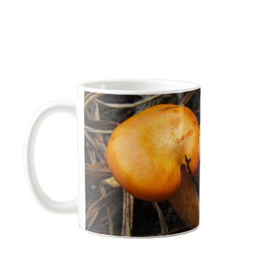 Mushrooms 299 ~ mug by Andy2302