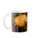 Mushrooms 299 ~ mug