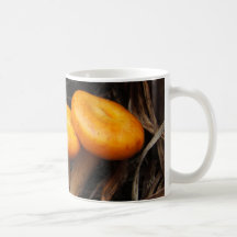 Mushrooms 299 ~ mug
