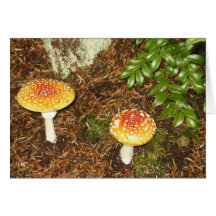 Mushrooms and Evergreen Huckleberry Greeting Cards