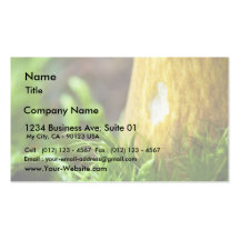 Mushrooms Business Cards