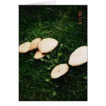 MUSHROOMS cards