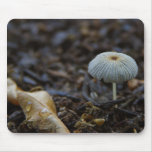 Mushrooms Dirt Leaves Mouse Pad