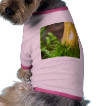 Mushrooms pet clothing by lifesphere Mushrooms pet clothing