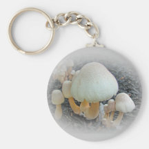 Mushrooms in Mulch - Leucoagaricus americanus Keychains