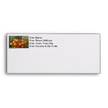 Mushrooms Macro Photo Envelopes