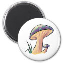 Mushrooms - Magnet magnet