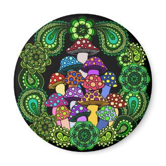 Mushrooms Magnet