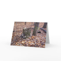 Mushrooms on Stump Card