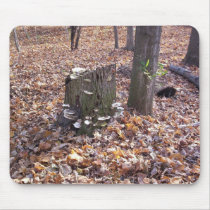 Mushrooms on Stump Mousepad