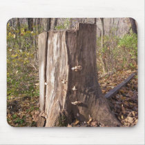 Mushrooms on Stump Mousepad