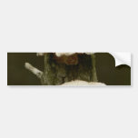 Mushrooms On Tree Bumper Sticker