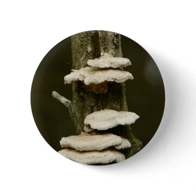 Mushrooms On Tree Pinback Button by lifesphere
