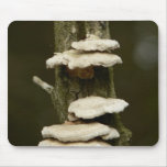 Mushrooms On Tree Mousepads