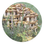 "Mushrooms" stickers