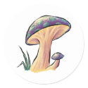 Mushrooms - Stickers sticker