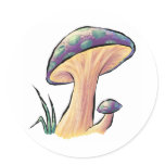 Mushrooms - Stickers
