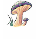 Mushrooms - T-shirt by whitefantom Mushrooms - T-shirt