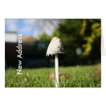 Mushroon  New Address Note Card