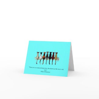 Music & Cats card