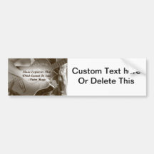 Music Expresses that guitar photo saying Bumper Sticker