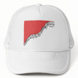 Music Hat
