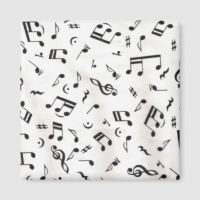 Music Notes magnets