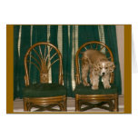 musical chairs cards
