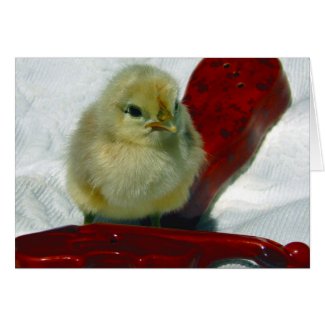 Musical Chick card