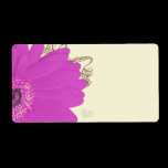 Musical Gerber Daisy