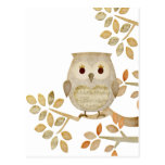Musical Tree Owl Postcard